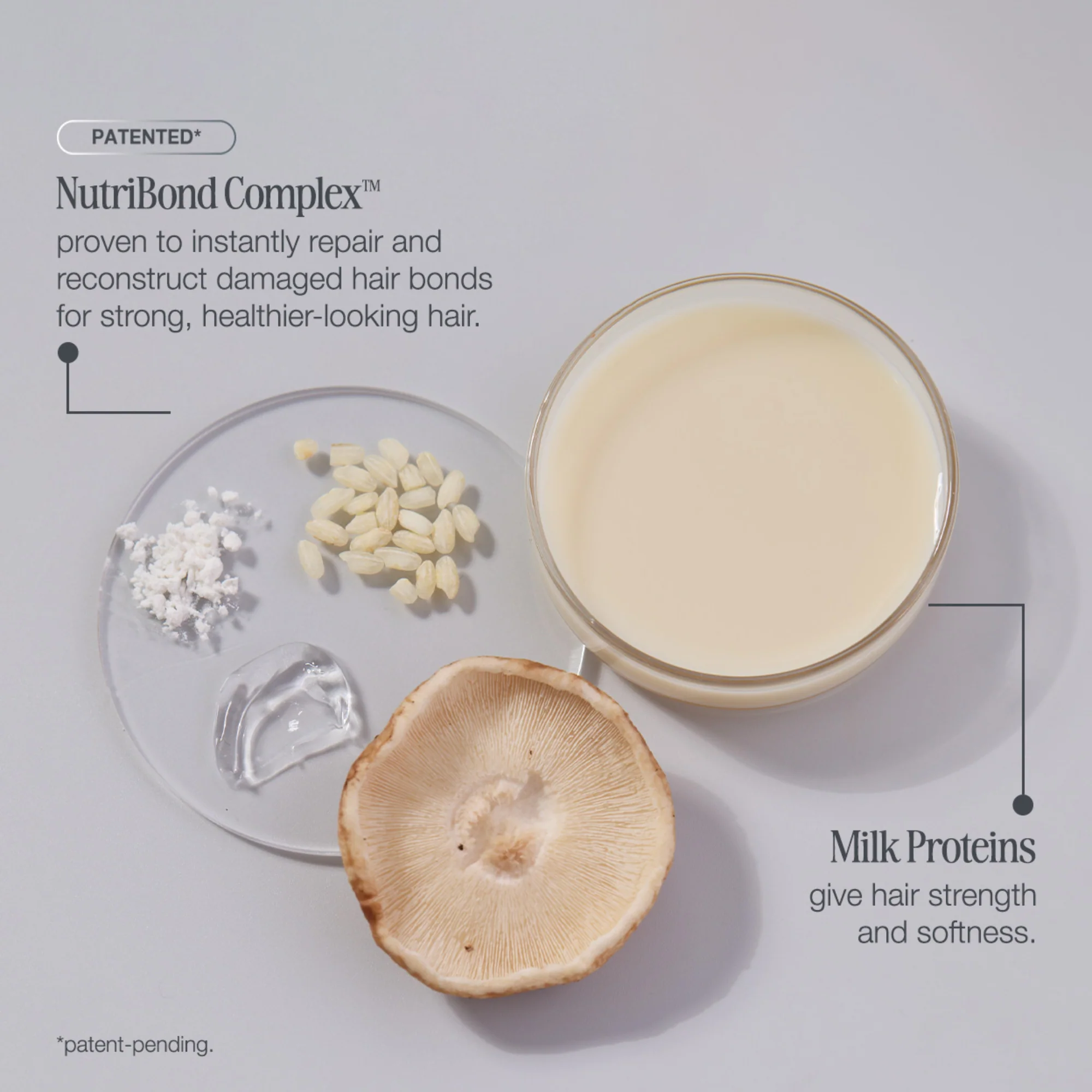 everlasting bonds repair conditioner - Image 8
