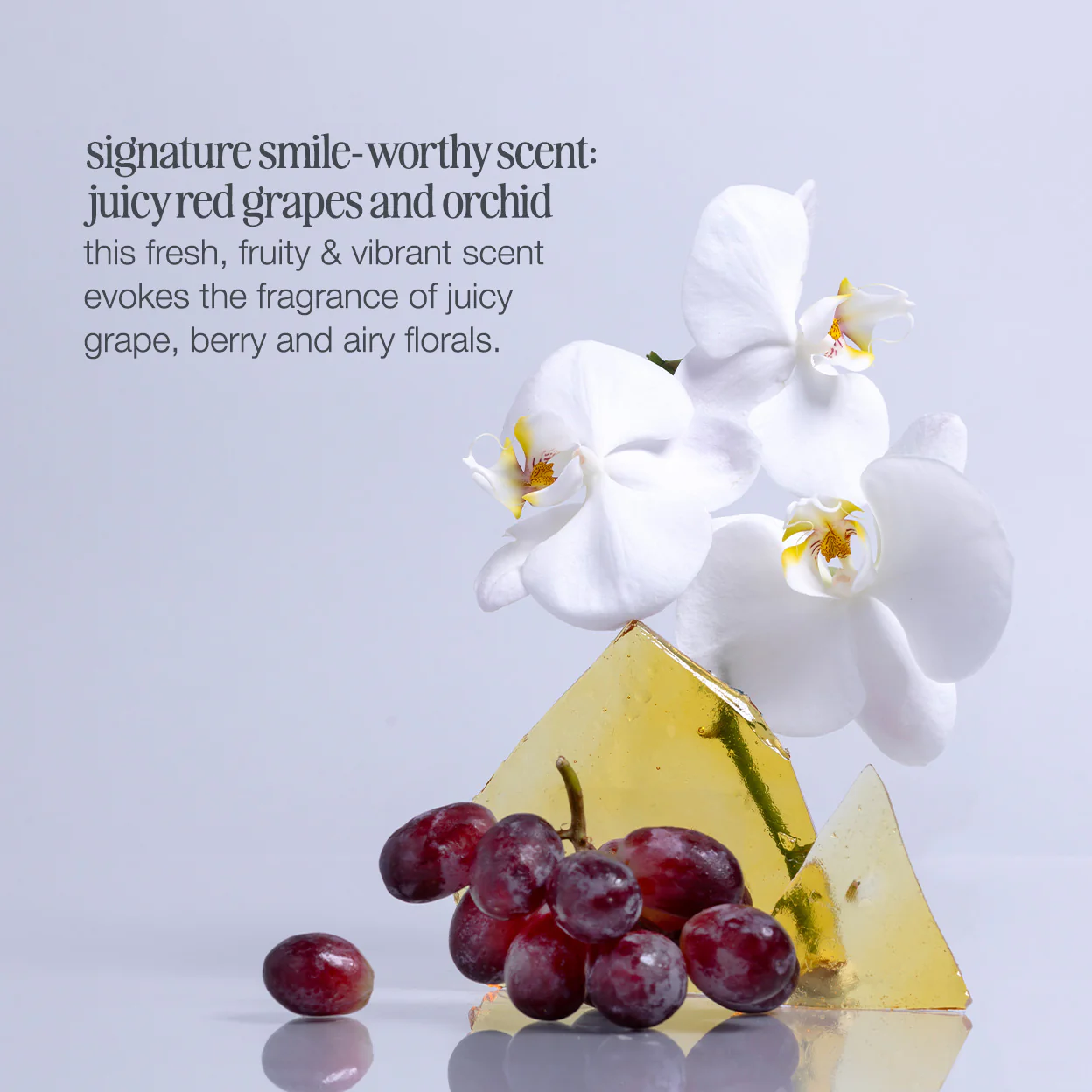 milk_shake icy blond shampoo - Image 9